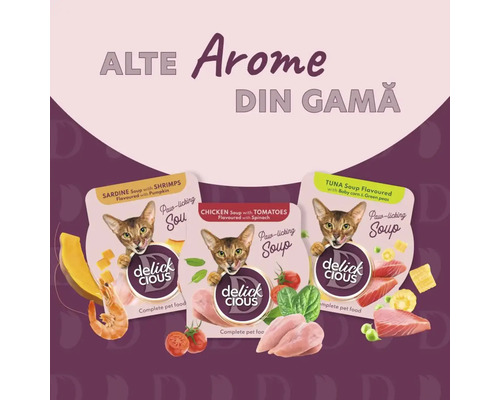 Trei pachete de supă pentru pisici Delick Cious în diferite arome