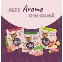 Trei pachete de supă pentru pisici Delick Cious în diferite arome.