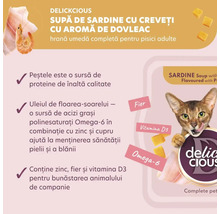 Hrană umedă pentru pisici Delickcious cu sardine și creveți cu aromă de dovleac pentru pisici adulte