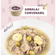 Mâncare pentru pisici Delick Cious cu ton și măsline într-o farfurie și un castron