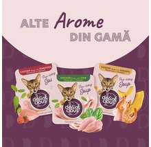 Trei pachete de supă pentru pisici Delick Cious în diferite arome.