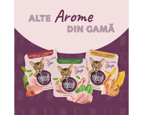 Trei pachete de supă pentru pisici Delick Cious în diferite arome.
