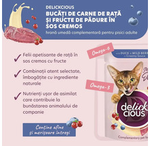 Delickcious hrană pentru pisici cu rață și fructe de pădure în sos cremos