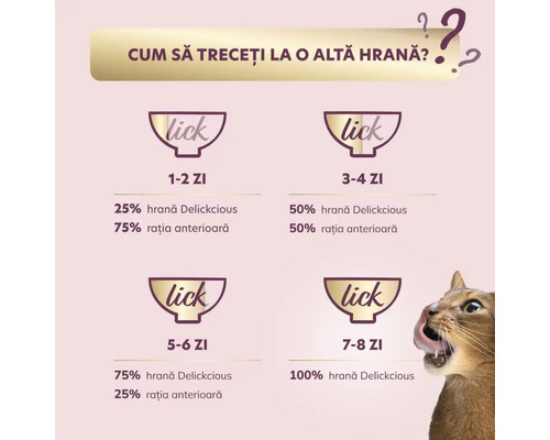 Instrucțiuni pentru a trece la o altă hrană pentru pisici, cu recomandări de hrănire