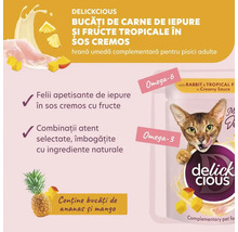 Delickcious hrana pentru pisici cu carne de iepure si fructe tropicale in sos cremos