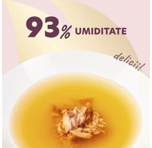 Farfurie cu hrană pentru pisici cu conținut ridicat de umiditate