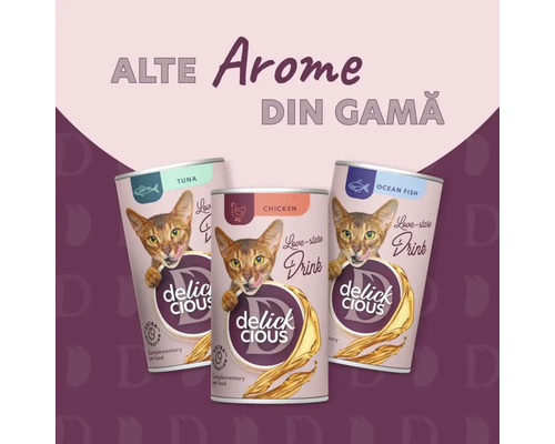 Trei cutii de mâncare pentru pisici Delick Cious cu arome diferite