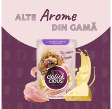 Delick Cious hrană pentru câini cu curcan și brânză în supă cremă