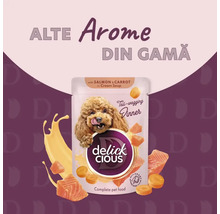 Hrană pentru câini Delick Cious cu somon și morcovi