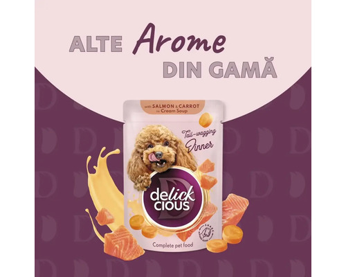 Hrană pentru câini Delick Cious cu somon și morcovi