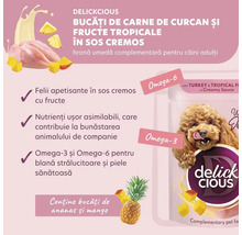 Delickcious hrană umedă pentru câini cu curcan și fructe tropicale