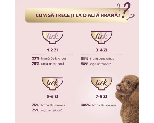 Instrucțiuni de schimbare a hranei cu recomandări de hrănire pentru câini.