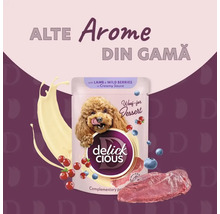 Hrană pentru câini Delick Cious cu miel și fructe de pădure