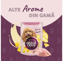 Desert pentru câini Delick Cious cu curcan și fructe tropicale