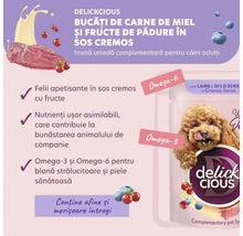 Delickcious hrană umedă pentru câini cu miel și fructe de pădure
