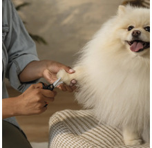 O persoană taie unghiile unui câine cu o foarfecă.