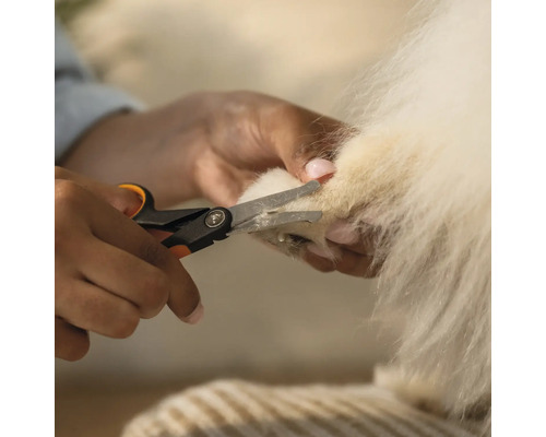 O persoană taie ghearele unui câine cu o unghieră.