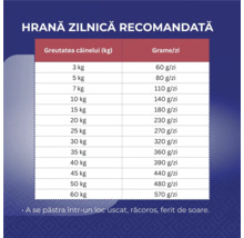 Rația zilnică recomandată pentru câini în funcție de greutate în grame pe zi