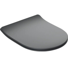 Capac de toaletă din plastic