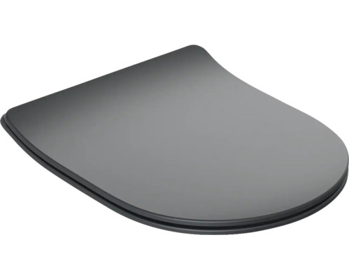 Capac de toaletă din plastic