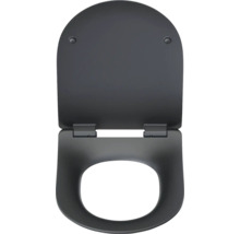 Scaun de toaletă cu capac