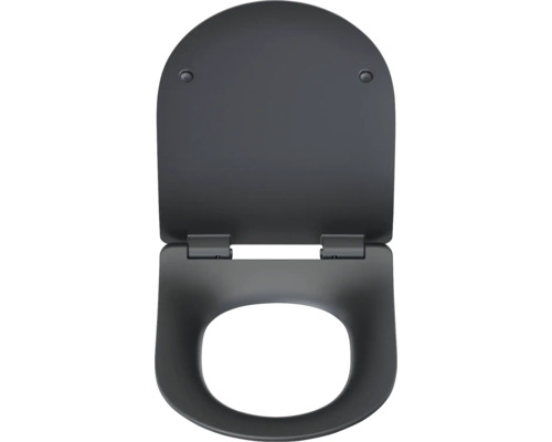 Scaun de toaletă cu capac