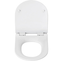 Capac de toaletă din plastic