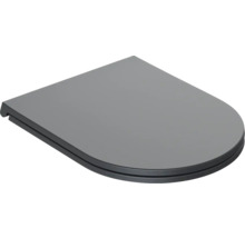 Capac de toaletă din plastic