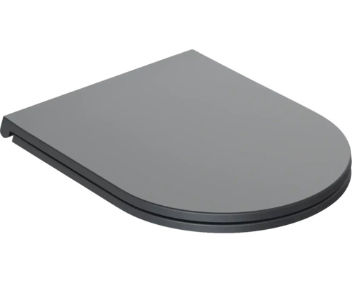 Capac de toaletă din plastic