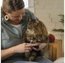 Femeie tăind unghiile unei pisici cu o foarfecă de unghii