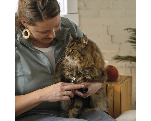 Femeie tăind unghiile unei pisici cu o foarfecă de unghii