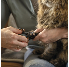 O persoană taie ghearele unei pisici cu o foarfecă de unghii.