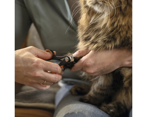 O persoană taie ghearele unei pisici cu o foarfecă de unghii.