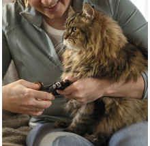 Femeie tăind unghiile unei pisici cu unghiera.