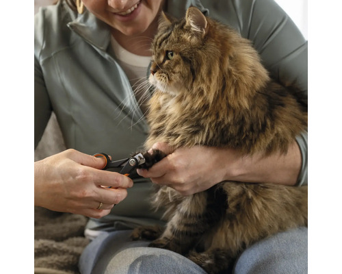 Femeie tăind unghiile unei pisici cu unghiera.