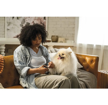 Femeie tăind unghiile unui câine pe o canapea