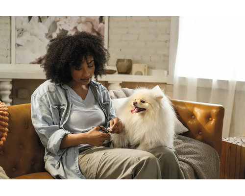 Femeie tăind unghiile unui câine pe o canapea