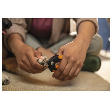 Persoană care taie unghiile unui câine cu o unghieră