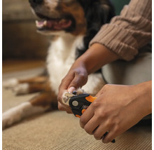 Persoană care taie unghiile unui câine cu o forfecuță de unghii.