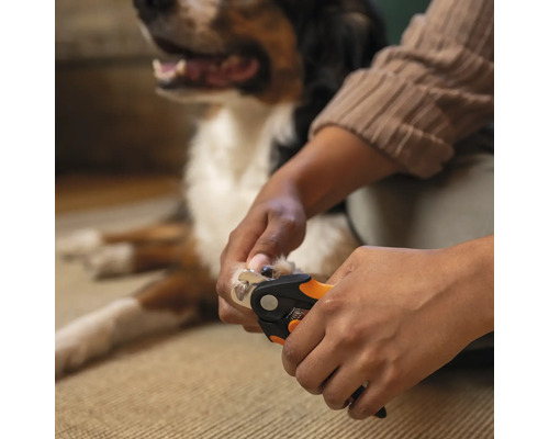 Persoană care taie unghiile unui câine cu o forfecuță de unghii.