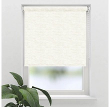 Fereastră cu jaluzea rulou ridicată