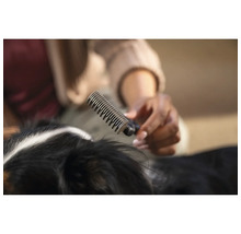 Persoană perie un câine cu pieptene pentru blană