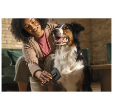 Femeie perie un câine cu o perie pentru îngrijirea blănii.