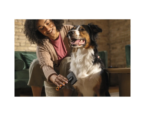 Femeie perie un câine cu o perie pentru îngrijirea blănii.