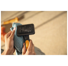 Mâinile curăță o perie pentru animale cu o cârpă