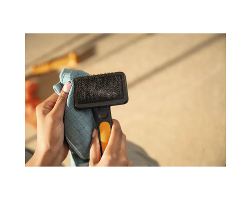 Mâinile curăță o perie pentru animale cu o cârpă