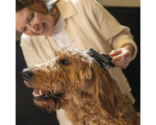 Femeie perie un câine cu o perie.