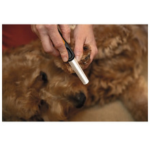 O persoană pilește unghiile unui câine cu o pilă pentru câini.