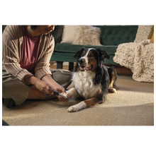 Femeie care taie unghiile câinelui cu o unghieră