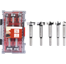 Set burghie Forstner Pattfield cu diferite dimensiuni în cutie de depozitare